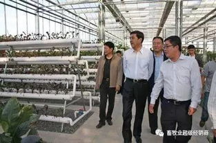 畜牧業(yè)超級經(jīng)銷商商學院第三期招生開啟 賦能飼料銷售新未來